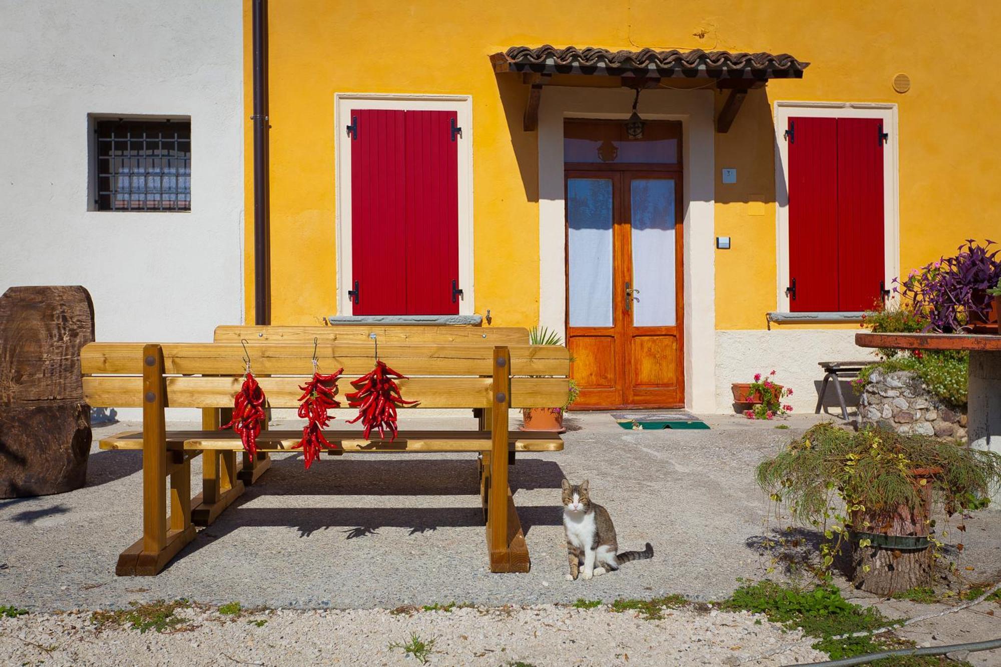 Agriturismo Con Cucina Tipica Nuova Scardua Cavriana Extérieur photo