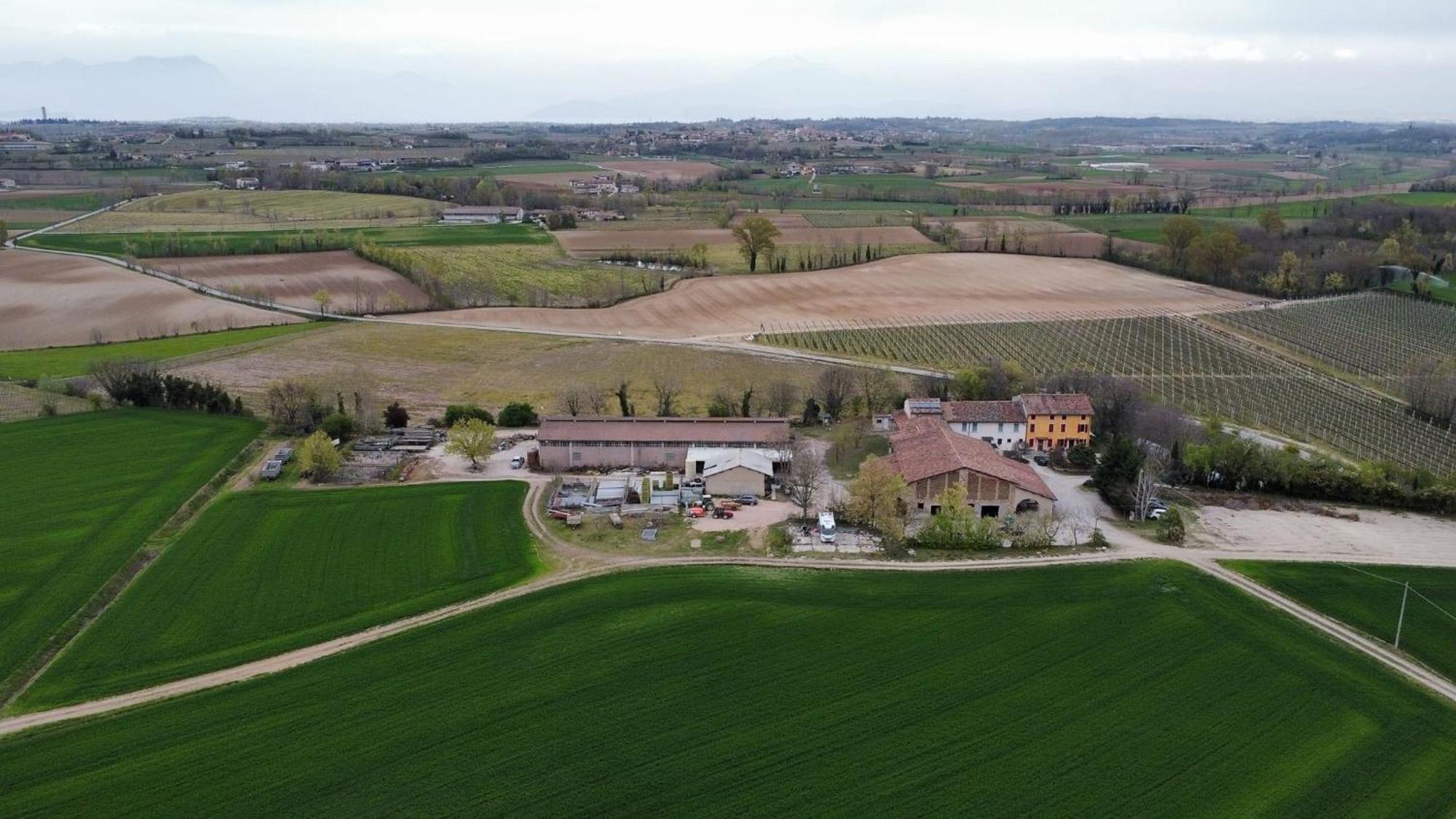 Agriturismo Con Cucina Tipica Nuova Scardua Cavriana Extérieur photo